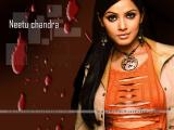 Neetu Chandra